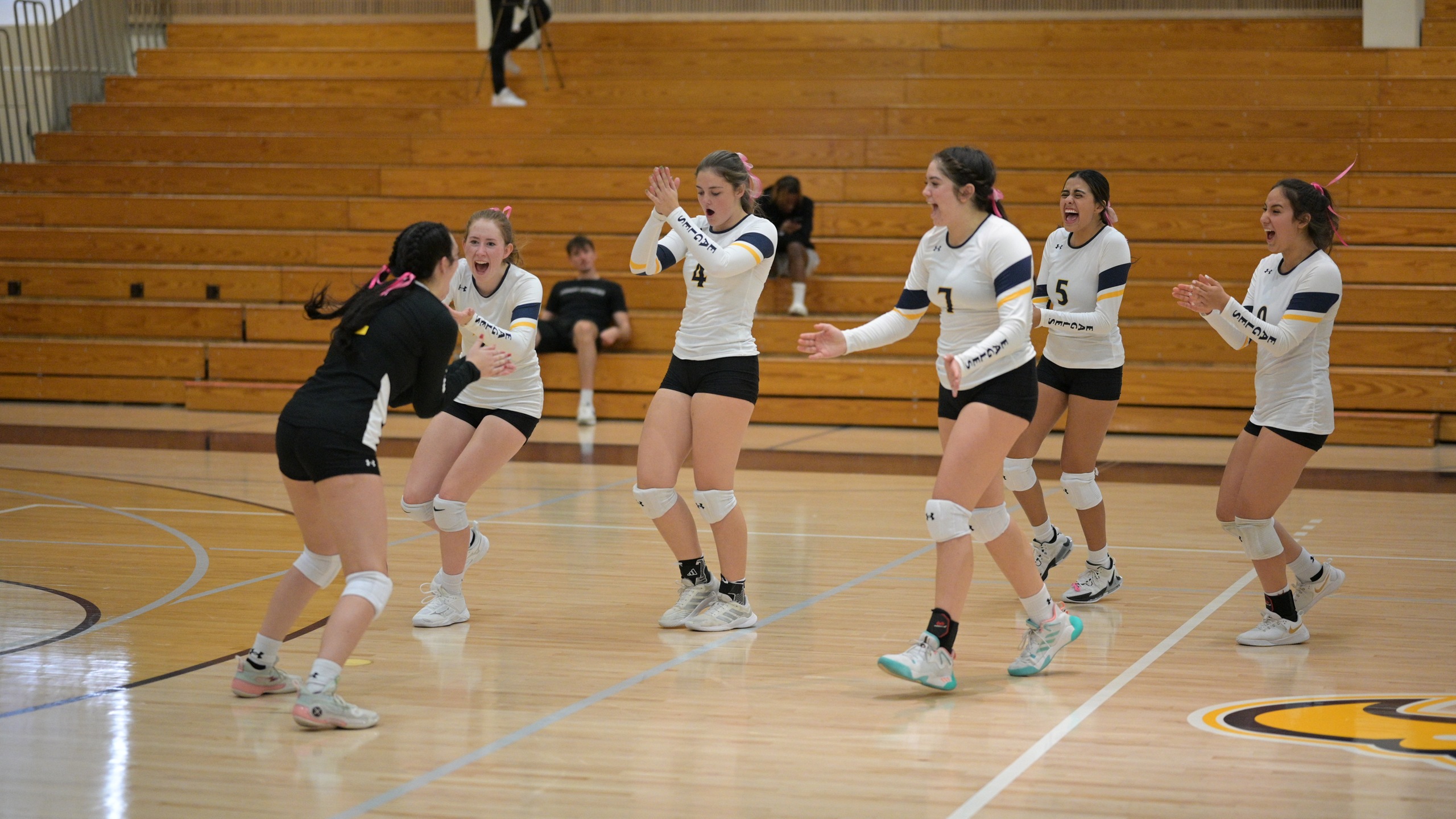 Volleyball Gets Home Win